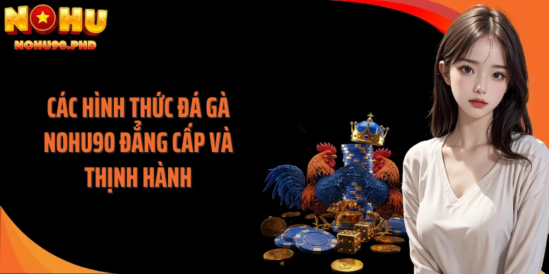 Các hình thức đá gà NOHU90 đẳng cấp và thịnh hành
