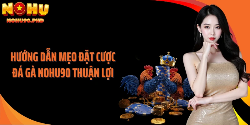 Hướng dẫn mẹo đặt cược đá gà NOHU90 thuận lợi