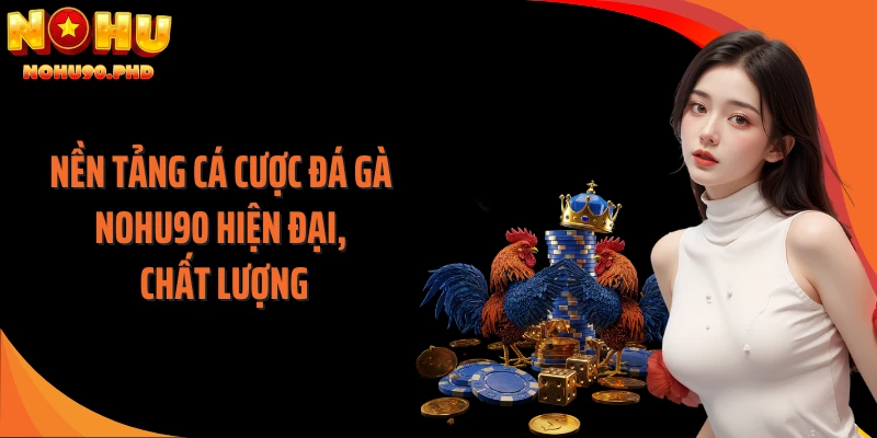Nền tảng cá cược đá gà NOHU90 hiện đại, chất lượng